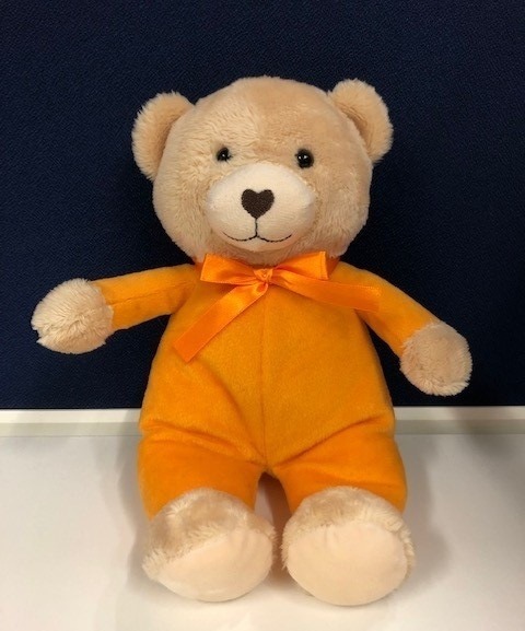Support Teddy (1)